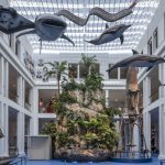 Der blaue Kontinent – Inseln im Pazifik – Dauerausstellung - 10974